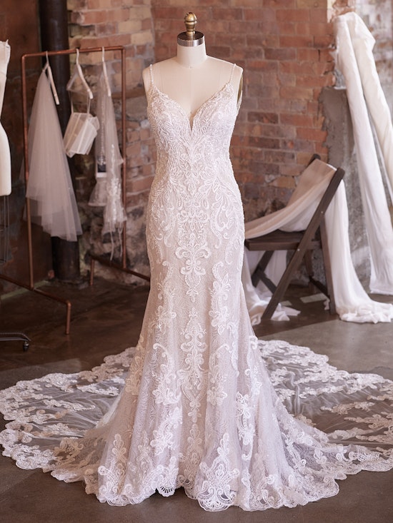 Sottero and Midgley Wedding Dress Brielle 21SC756A01 Alt100