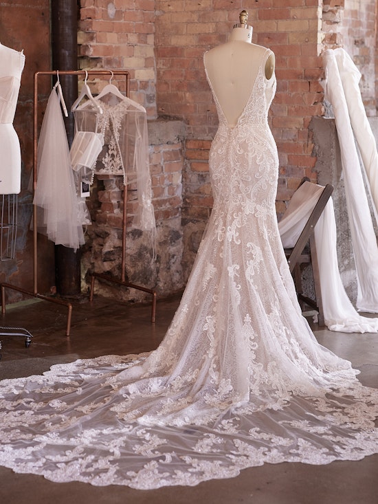 Sottero and Midgley Wedding Dress Brielle 21SC756A01 Alt104