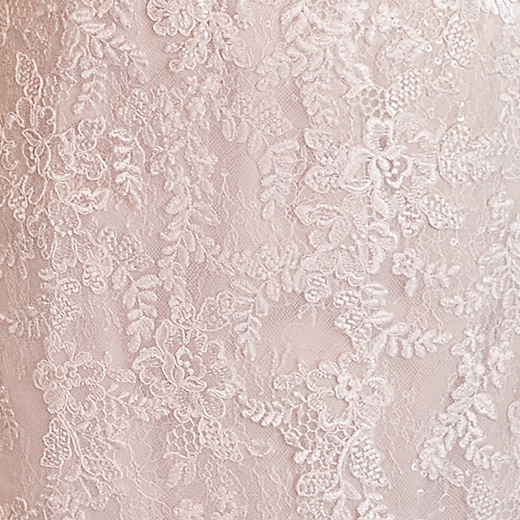 Sottero and Midgley Wedding Dress Dublin-Lynette 21SS811B bp01