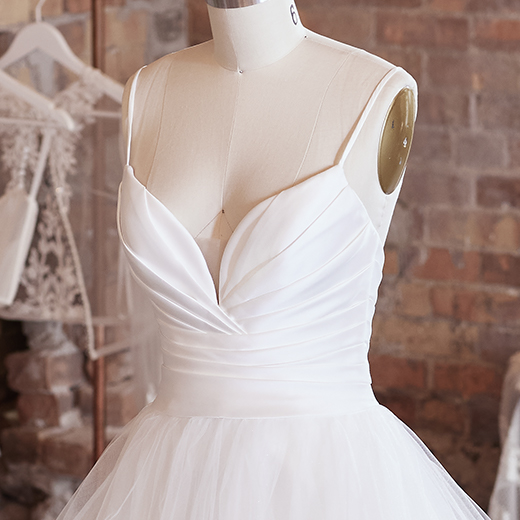 Rebecca Ingram Wedding Dress Sonoma 21RW862 bp02