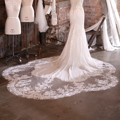Sottero and Midgley Wedding Dress Alec 21SW861 bp08
