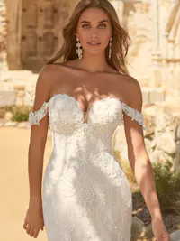 Elegant off-the-shoulder lace cap sleeves