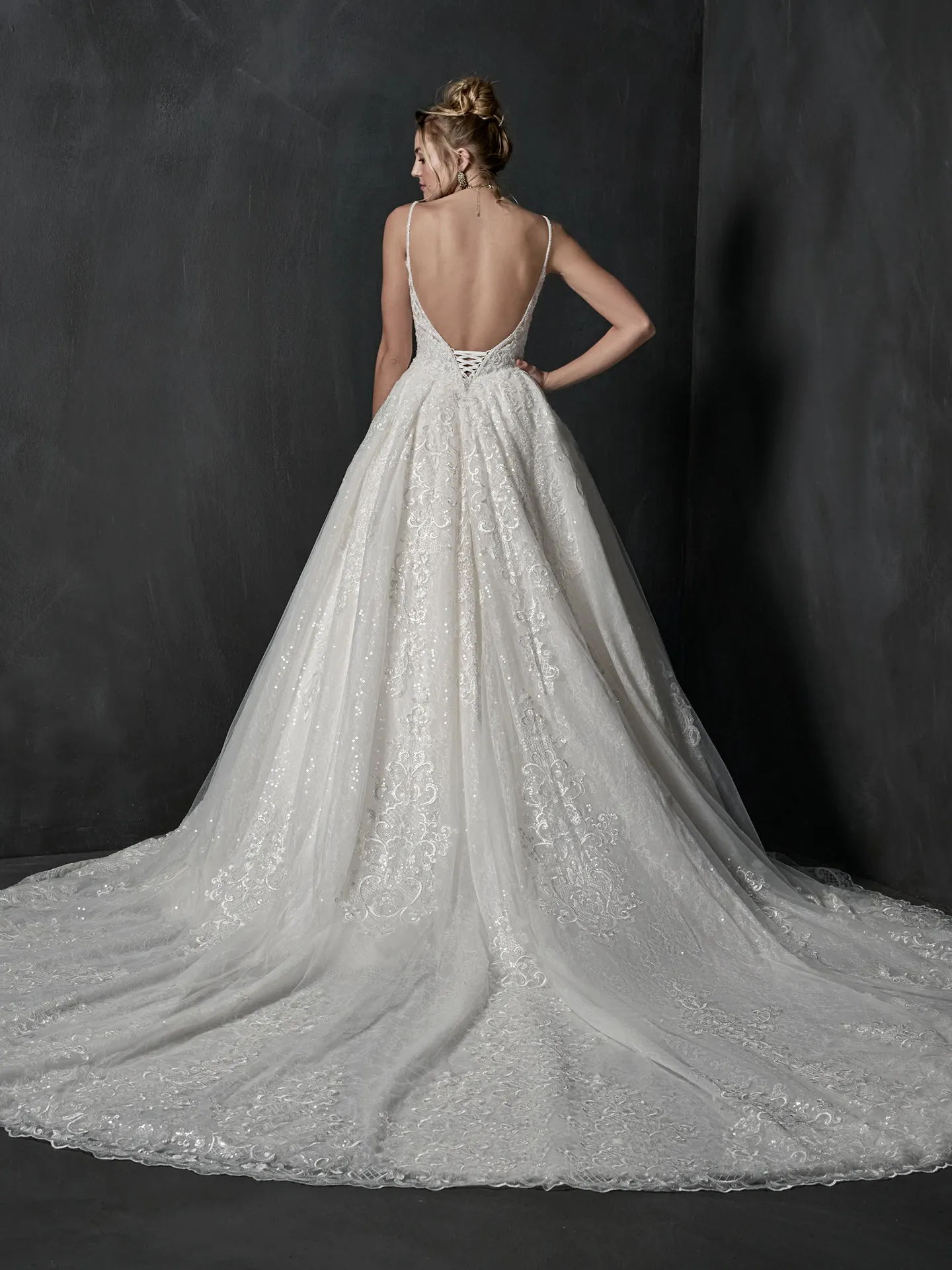 Sottero and Midgley Ball Gown Wedding Dress Blaire 22SV989A01 Alt3