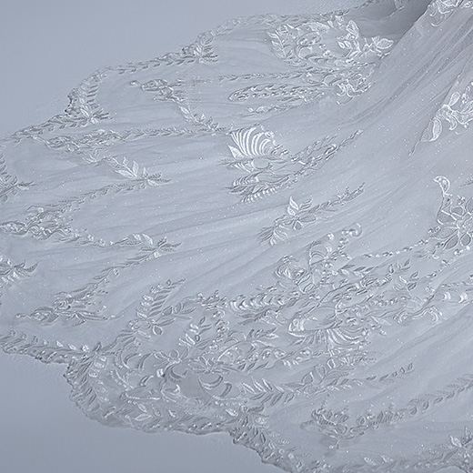 Sottero and Midgley Brooklyn Leigh 22SK005D01 A Line Wedding Dress bp08_ExtraDetails1