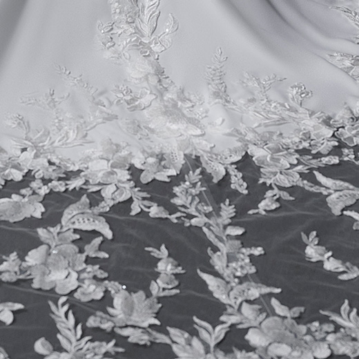 Sottero and Midgley Tanner 22SW993A01 Fit and Flare Wedding Dress bp09_ExtraDetails2
