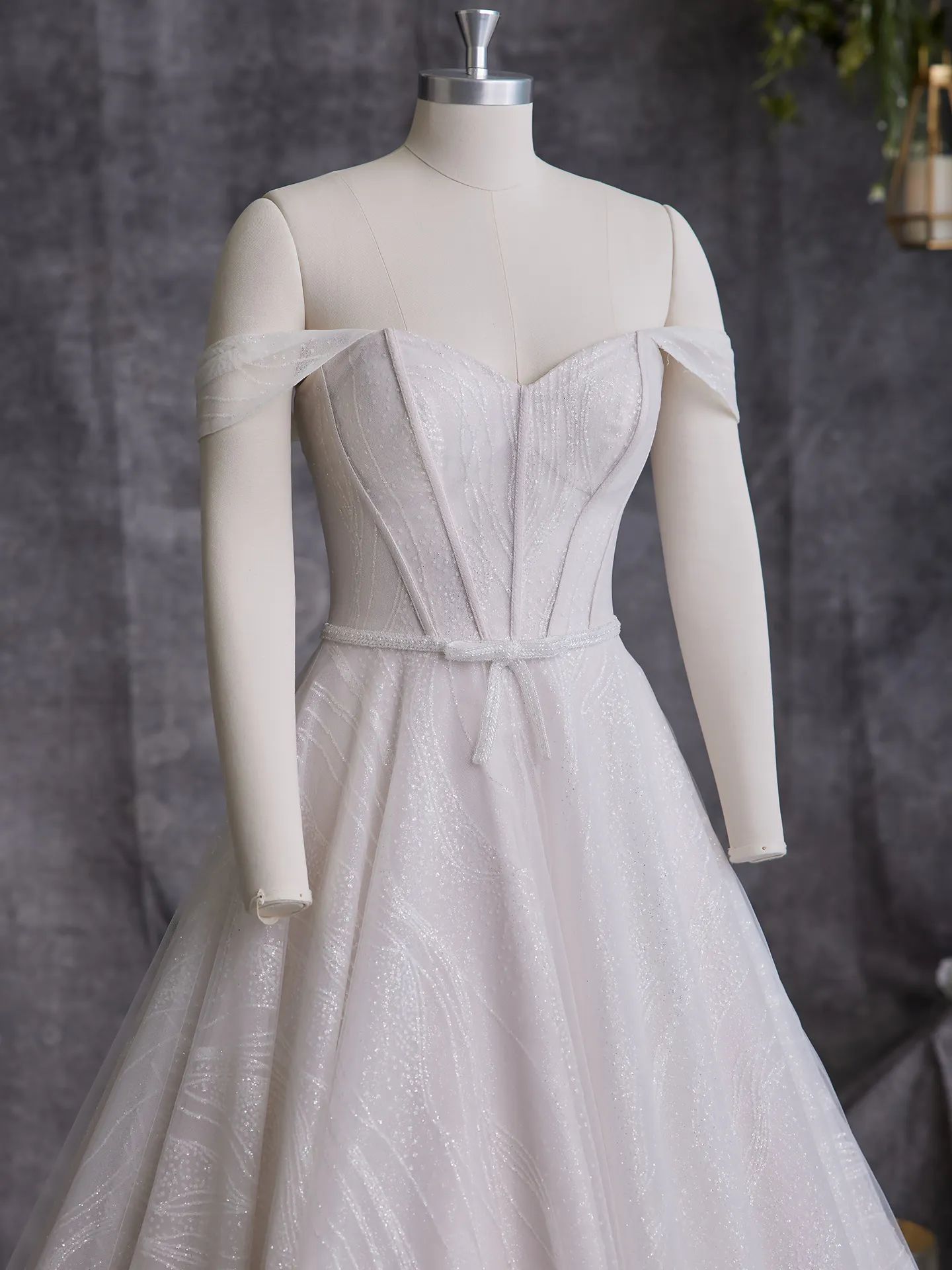 Sottero and Midgley Ballgown Bridal Gown Chase 23ST105A01 Alt102
