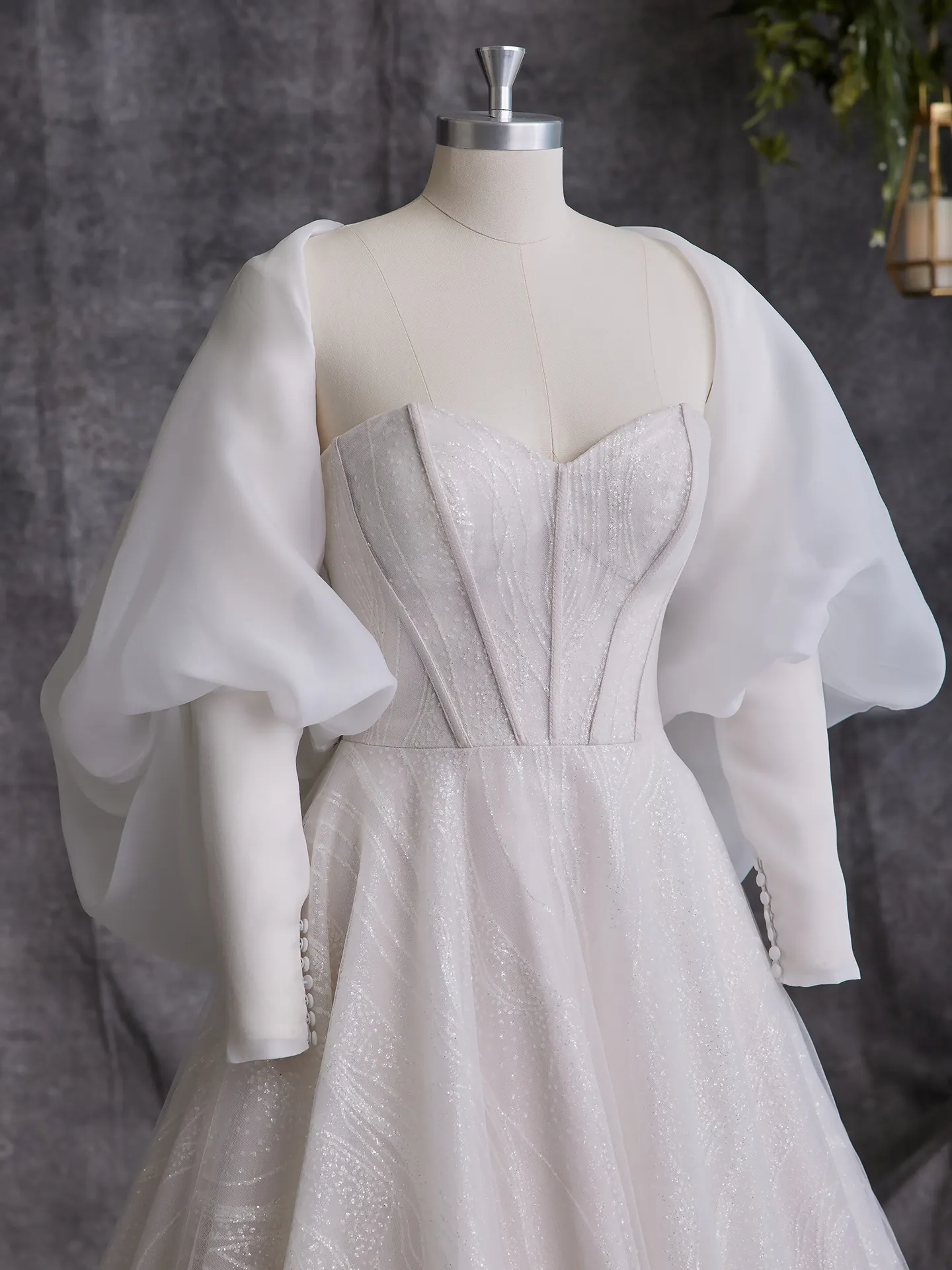 Sottero and Midgley Ballgown Bridal Gown Chase 23ST105A01 Alt110