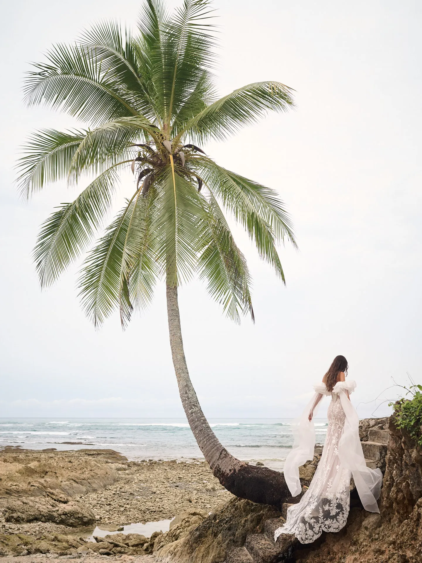 Sottero and Midgley Tanica back view, beach setting, plunging sweetheart neckline gown