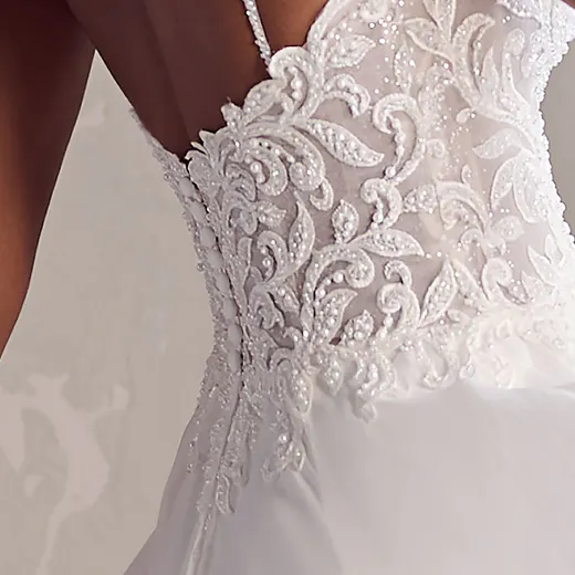 Rebecca Ingram Poppy chiffon back view with lace embroidery details.