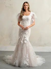 Illusion flutter sleeves with unembellished lace