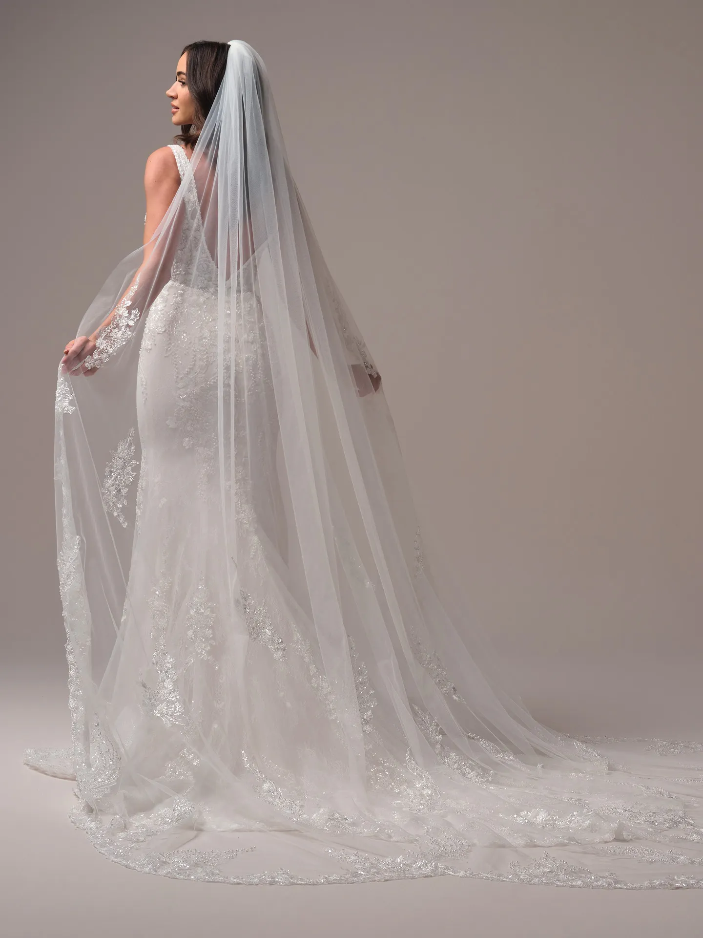 Eloise beaded lace fit-and-flare wedding dress back view with long veil