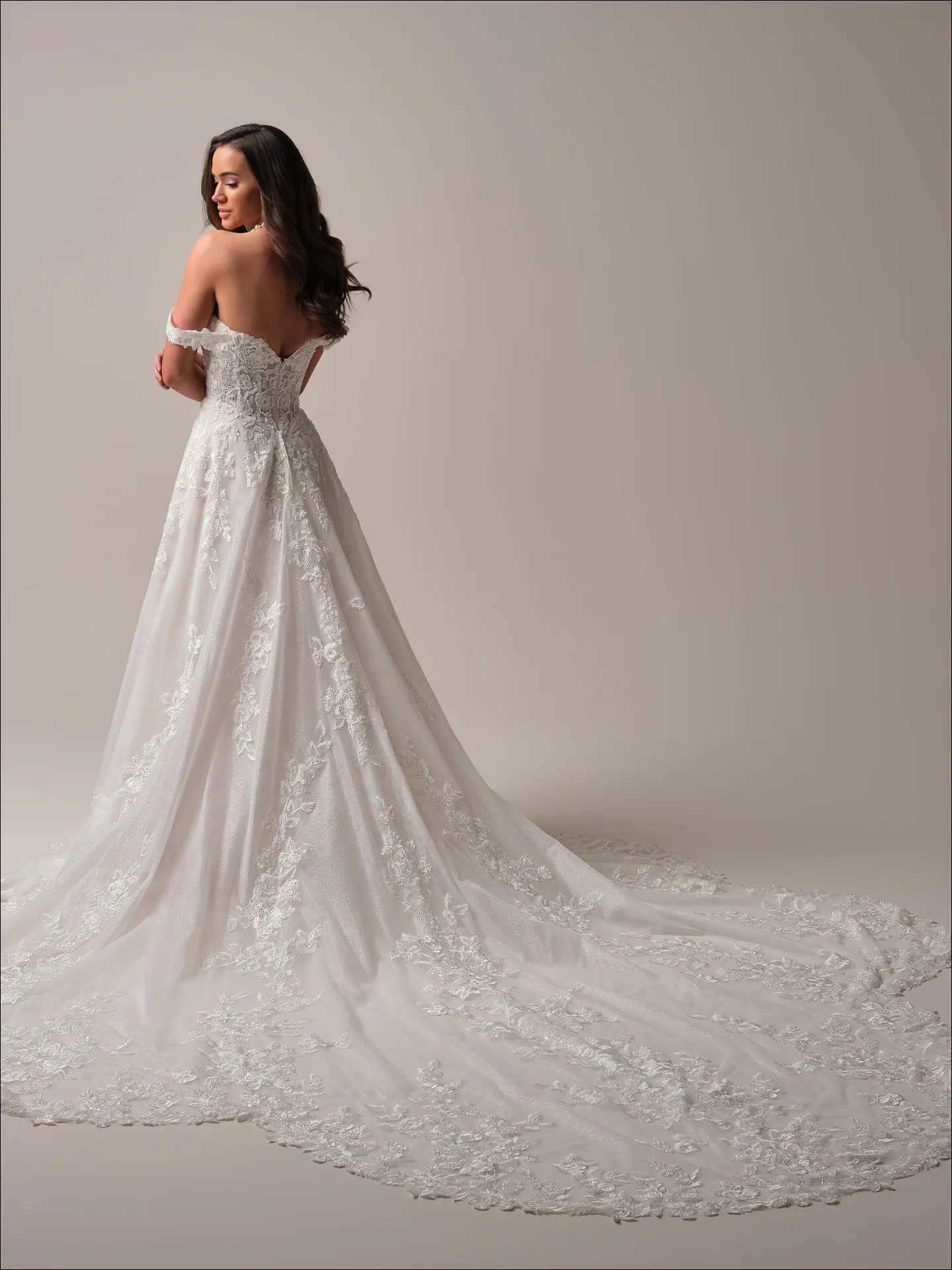 Maggie Sottero Everleigh back view showing lace A-line with long train