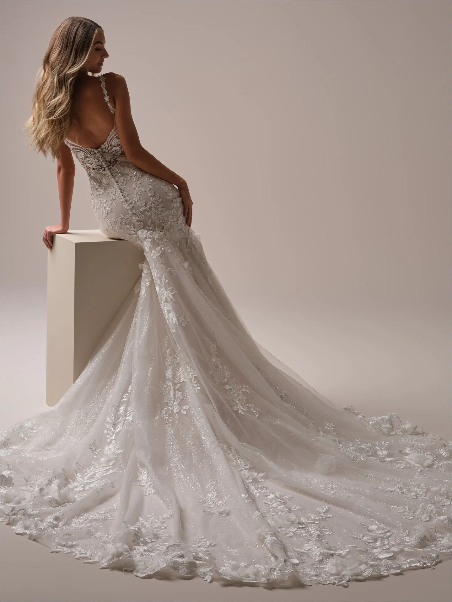 Maggie Sottero Sonoma fit and flare wedding dress back view with lace train