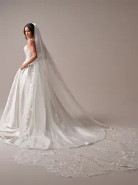 Fairytale sparkly royal length veil with scalloped edge
