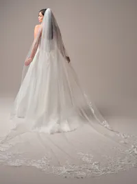 Lovely scalloped royal length veil with unembellished lace