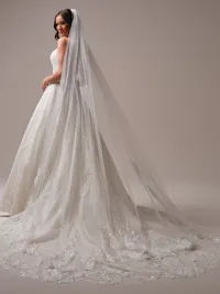 Ethereal cathedral length veil with beaded motifs