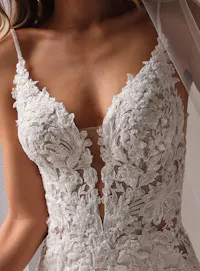 Bianca fit-and-flare gown with beaded lace and deep plunge, front view