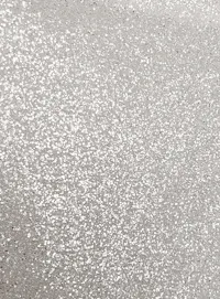 Maggie Sottero Takera fabric glitter tulle texture detail