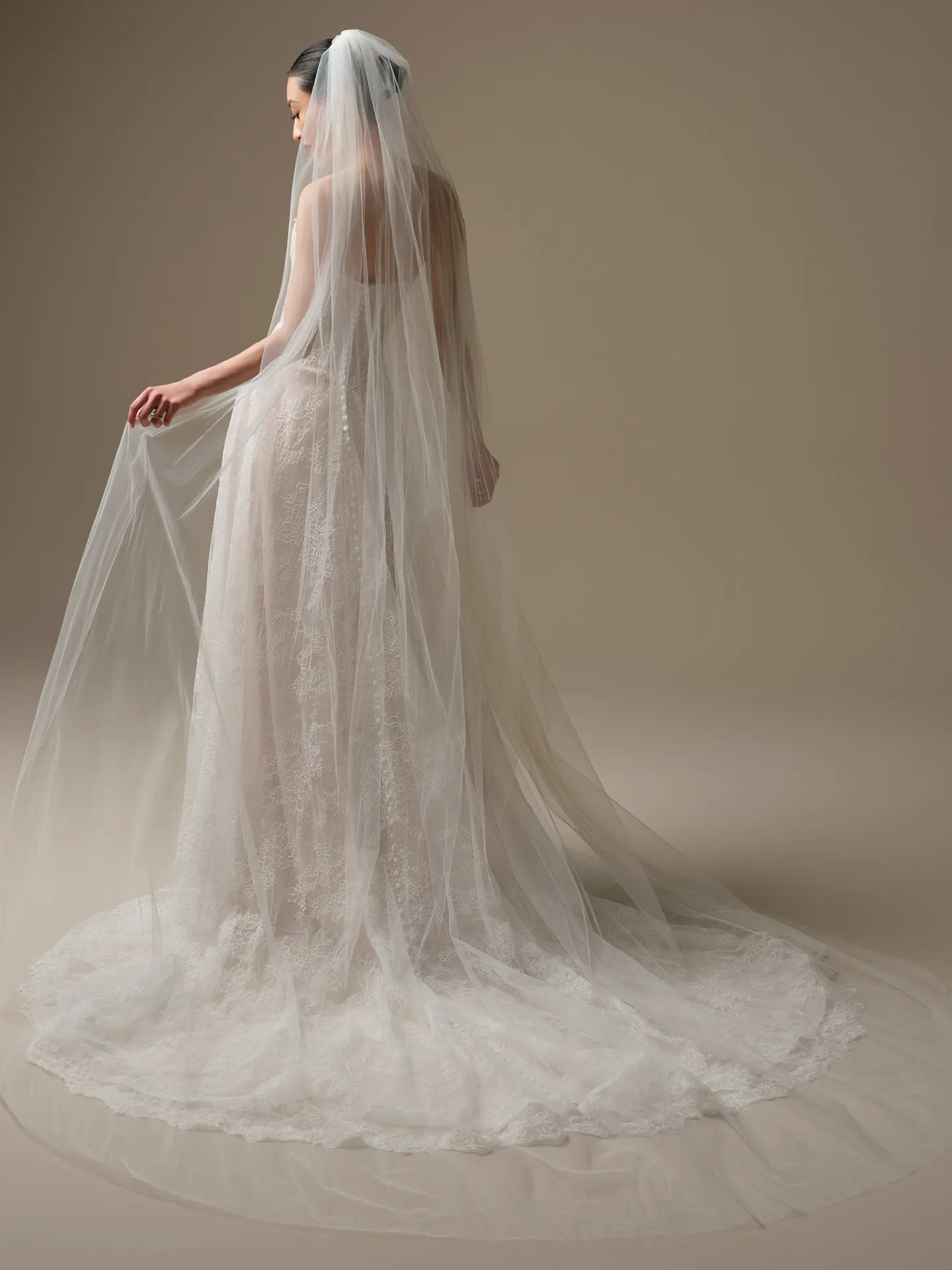 Sottero and Midgley, back view lace veil gown.