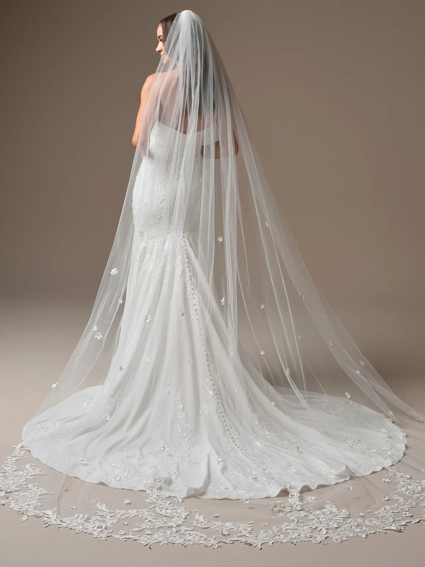 Maggie Sottero Thera, back view with lace details and veil.