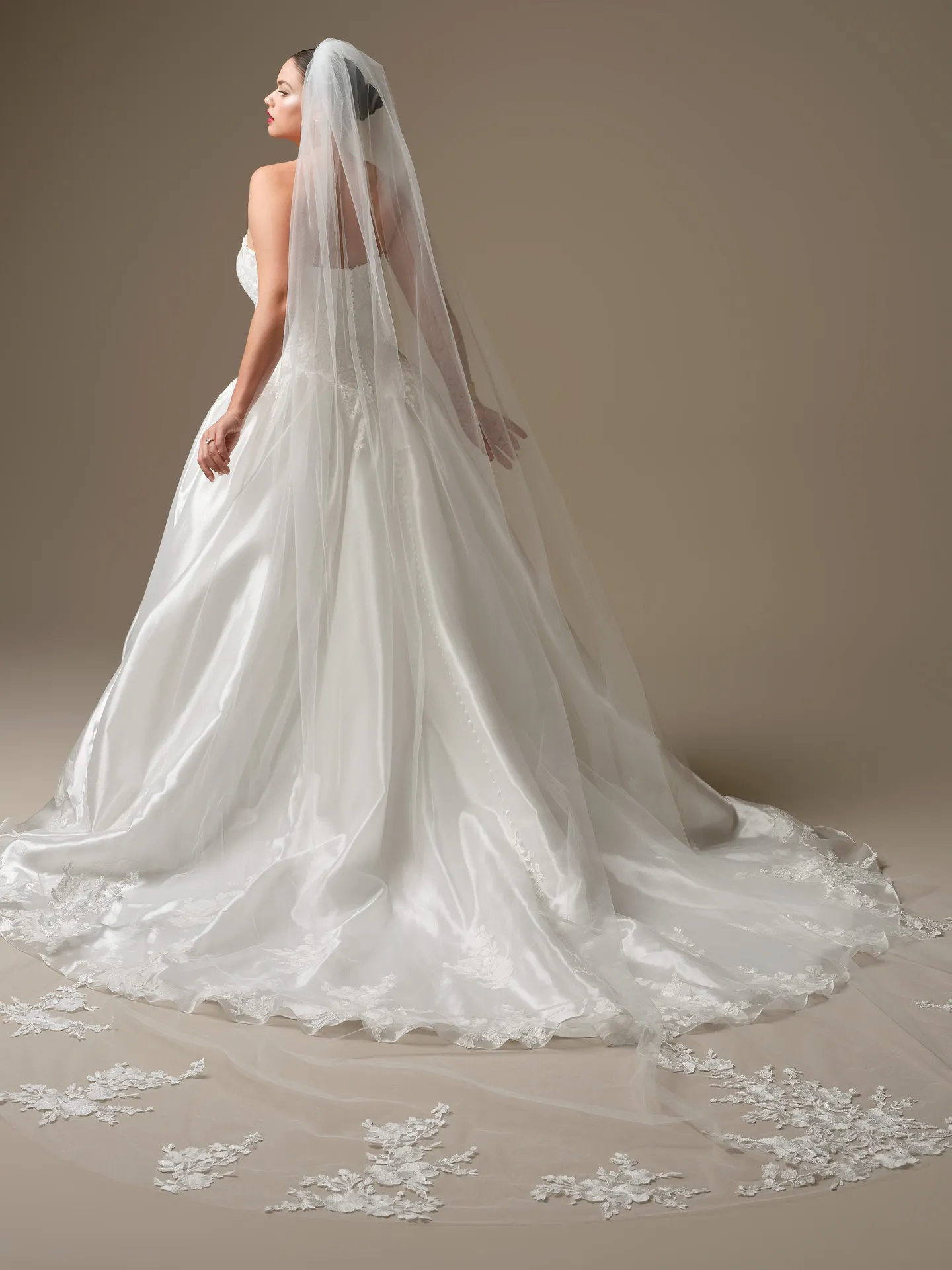 Maggie Sottero Alvarez ballgown, back view with lace train.