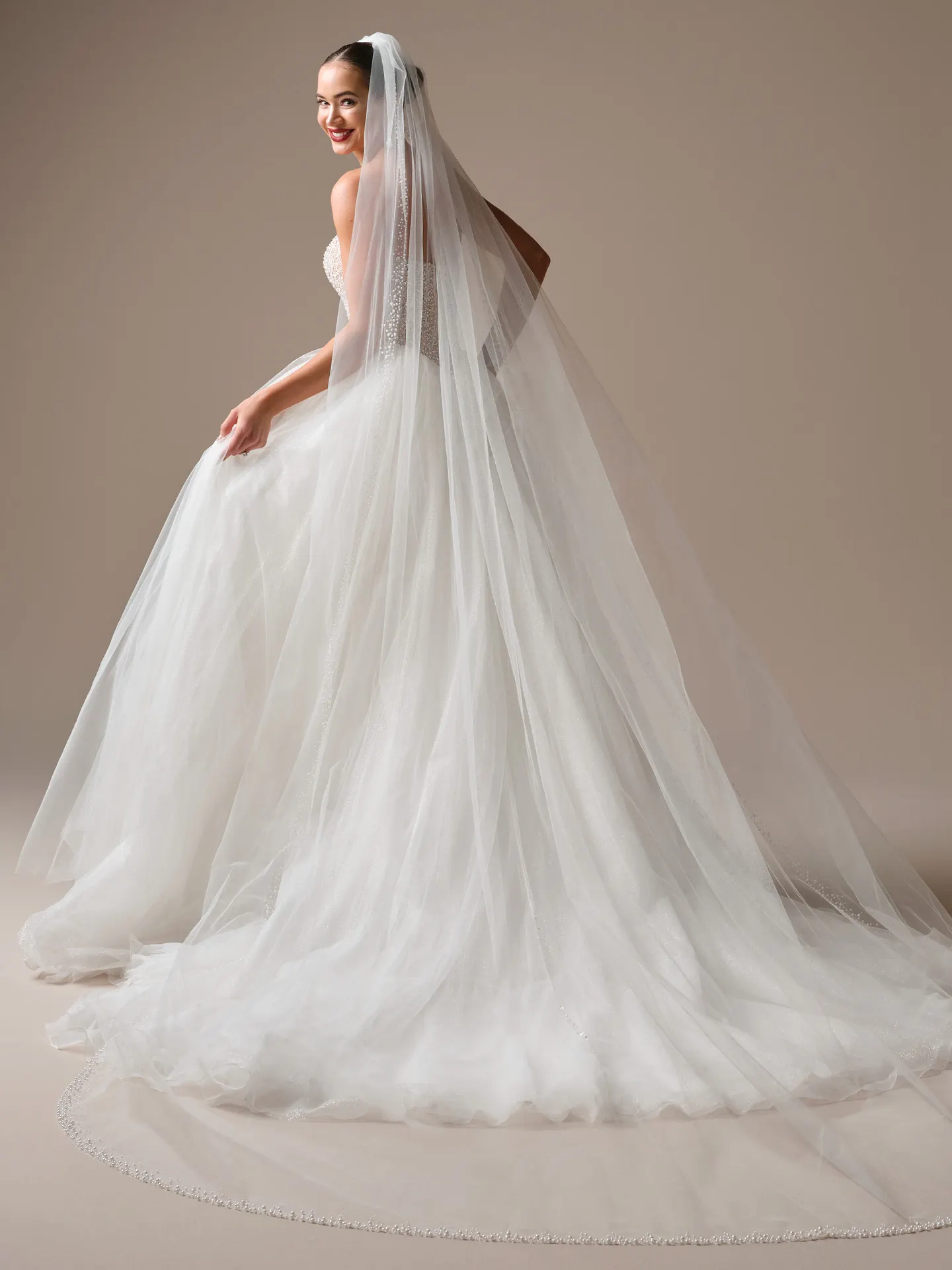 Sottero and Midgley Dmara Lane, back view ballgown wedding dress with veil.