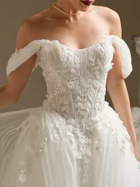 Jayna detachable off-the-shoulder pleated organza cap sleeves with beaded and sequin lace motifs