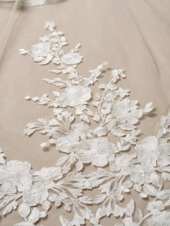 Sottero and Midgley Alvarez Ballgown Wedding Dress Alt75-Curve DW002