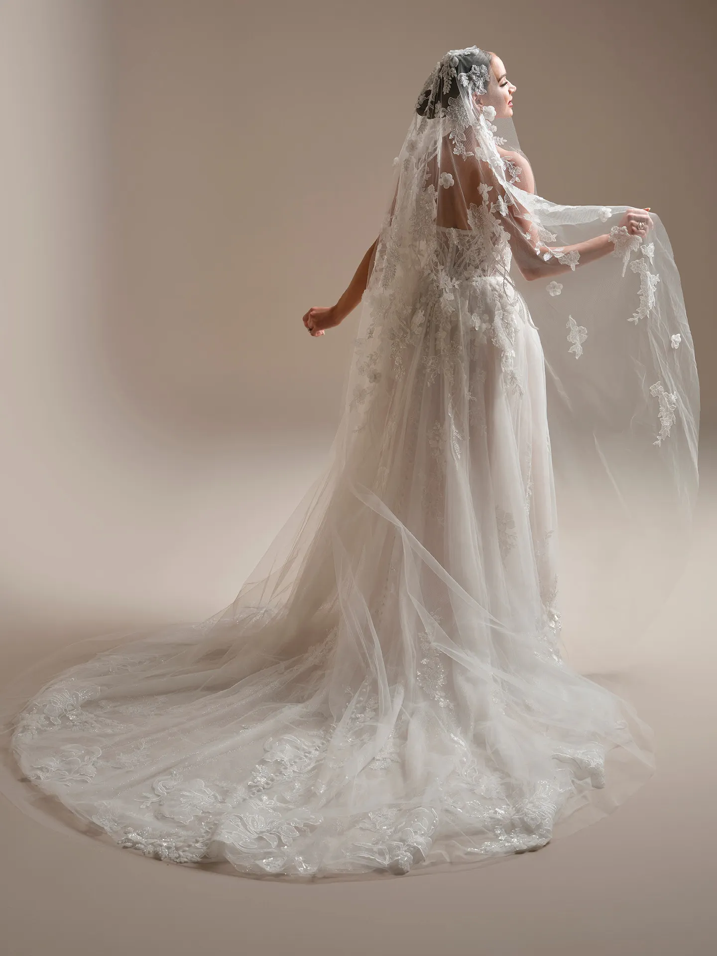 Sottero and Midgley Twilight Lane veil with beaded lace,, back view.