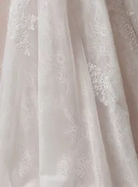 Rebecca Ingram Esmeralda lace detail A-line wedding dress