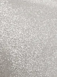 Sequin lace pattern close-up; Maggie Sottero Farrah dress fabric detail.