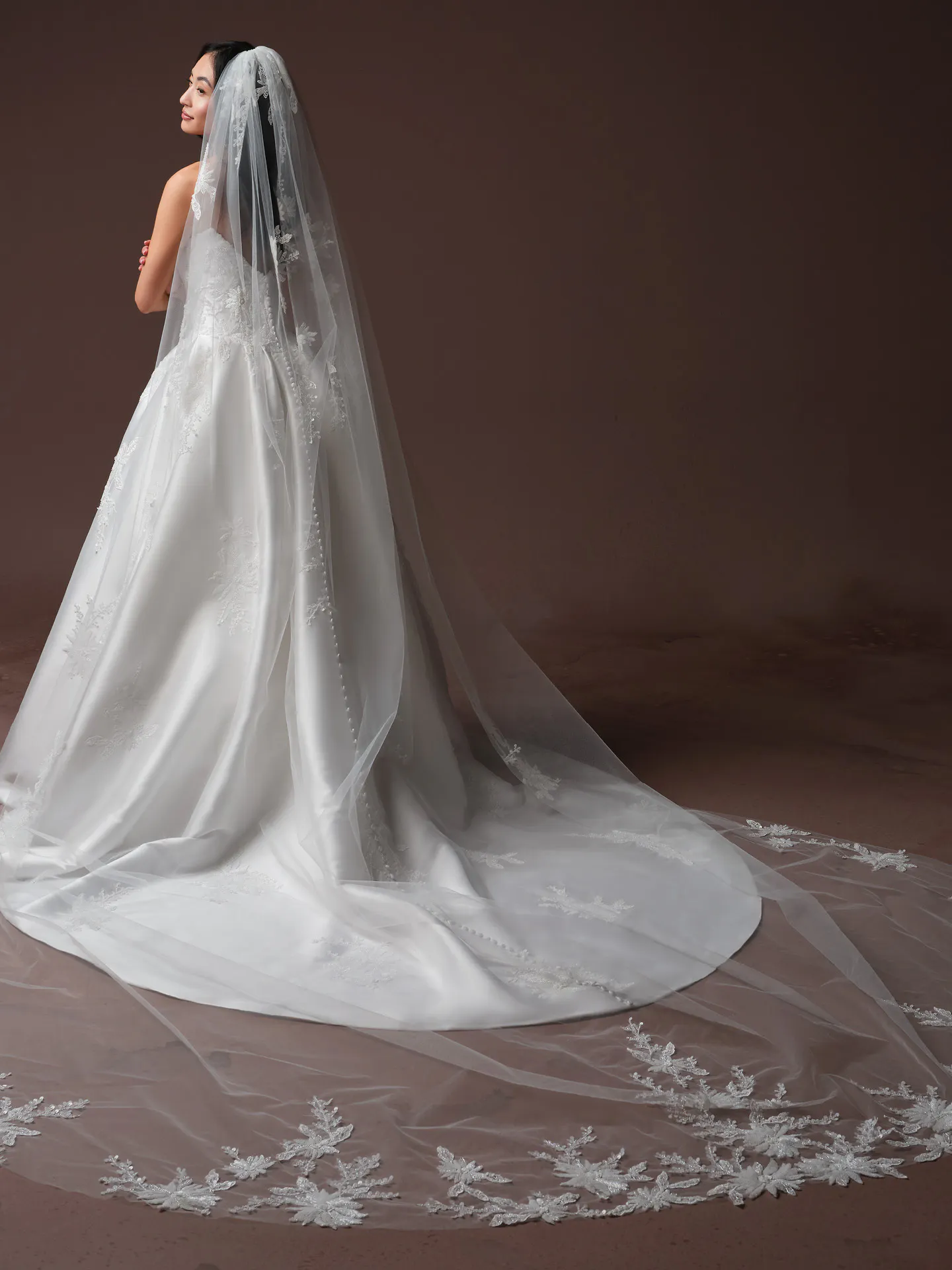 Sottero and Midgley Lucinde, back view beaded lace ballgown with long train.