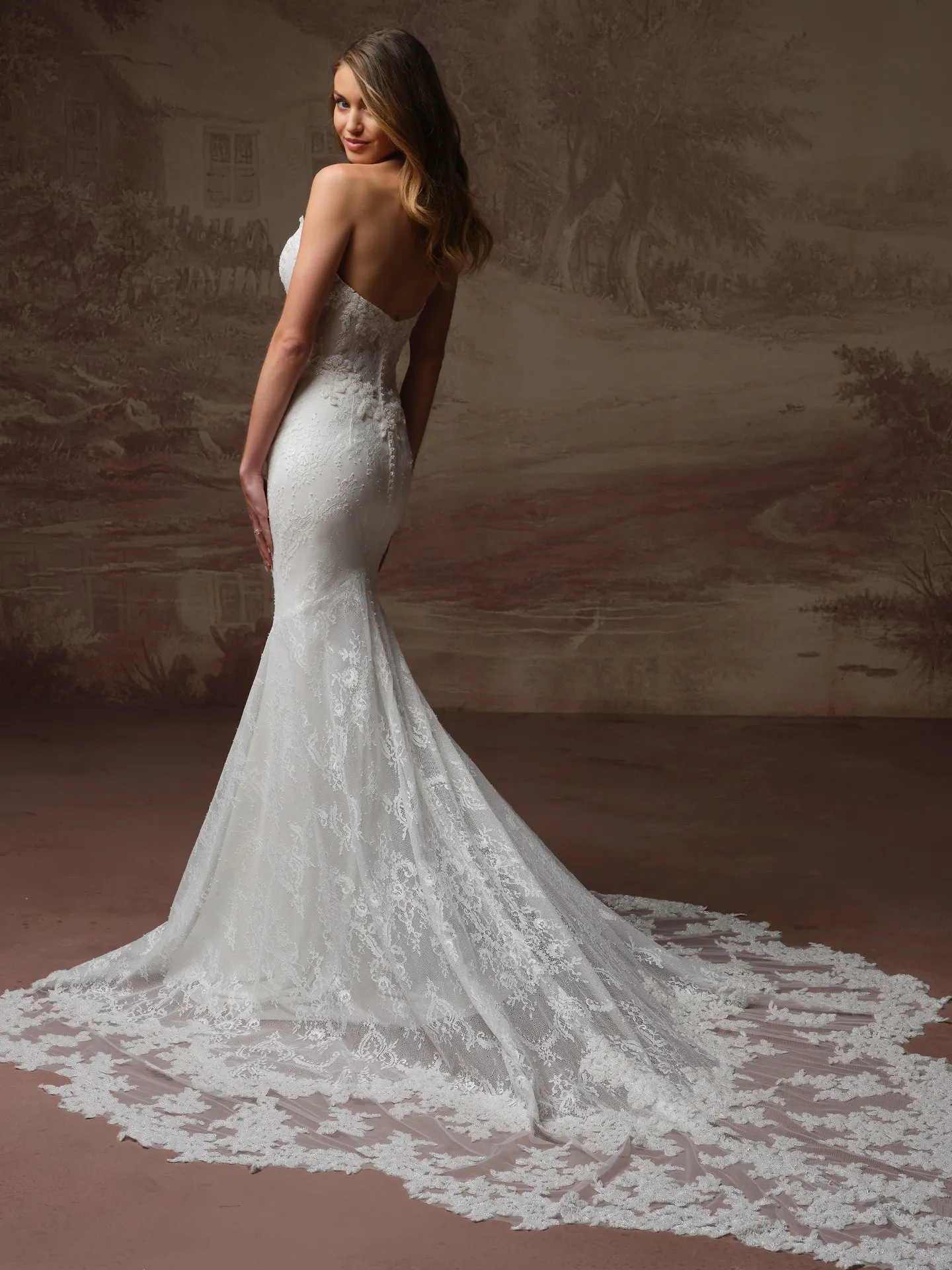Collette beaded lace wedding dress back view.