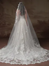 Enchanted beaded 3-D lace mantilla veil