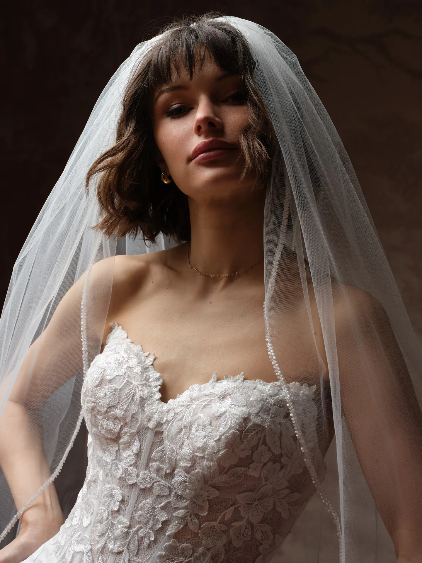 Rebecca Ingram Brandy lace dress front with veil.