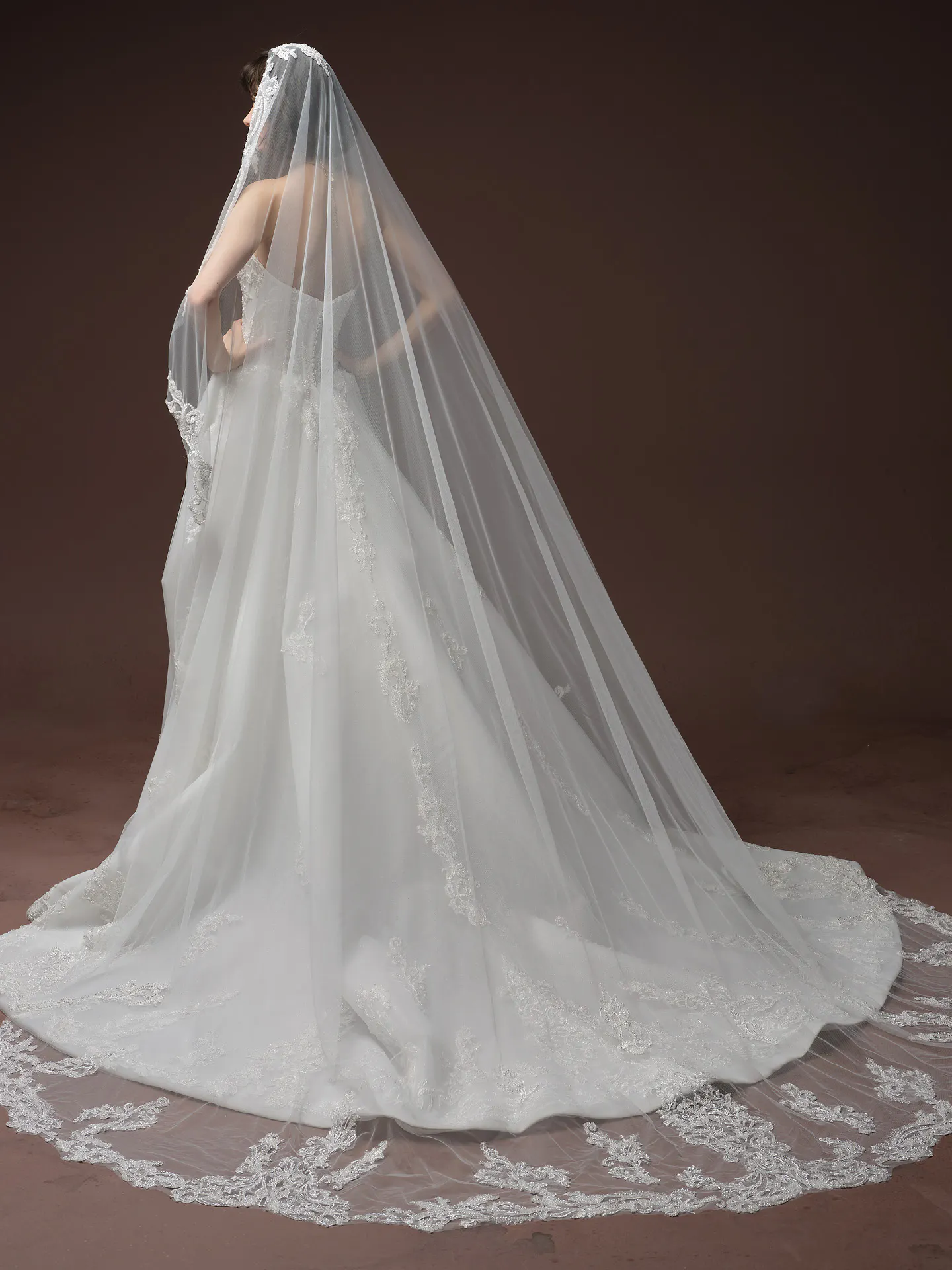 Sottero and Midgley Gwyneth, back view tulle ballgown with long lace veil.
