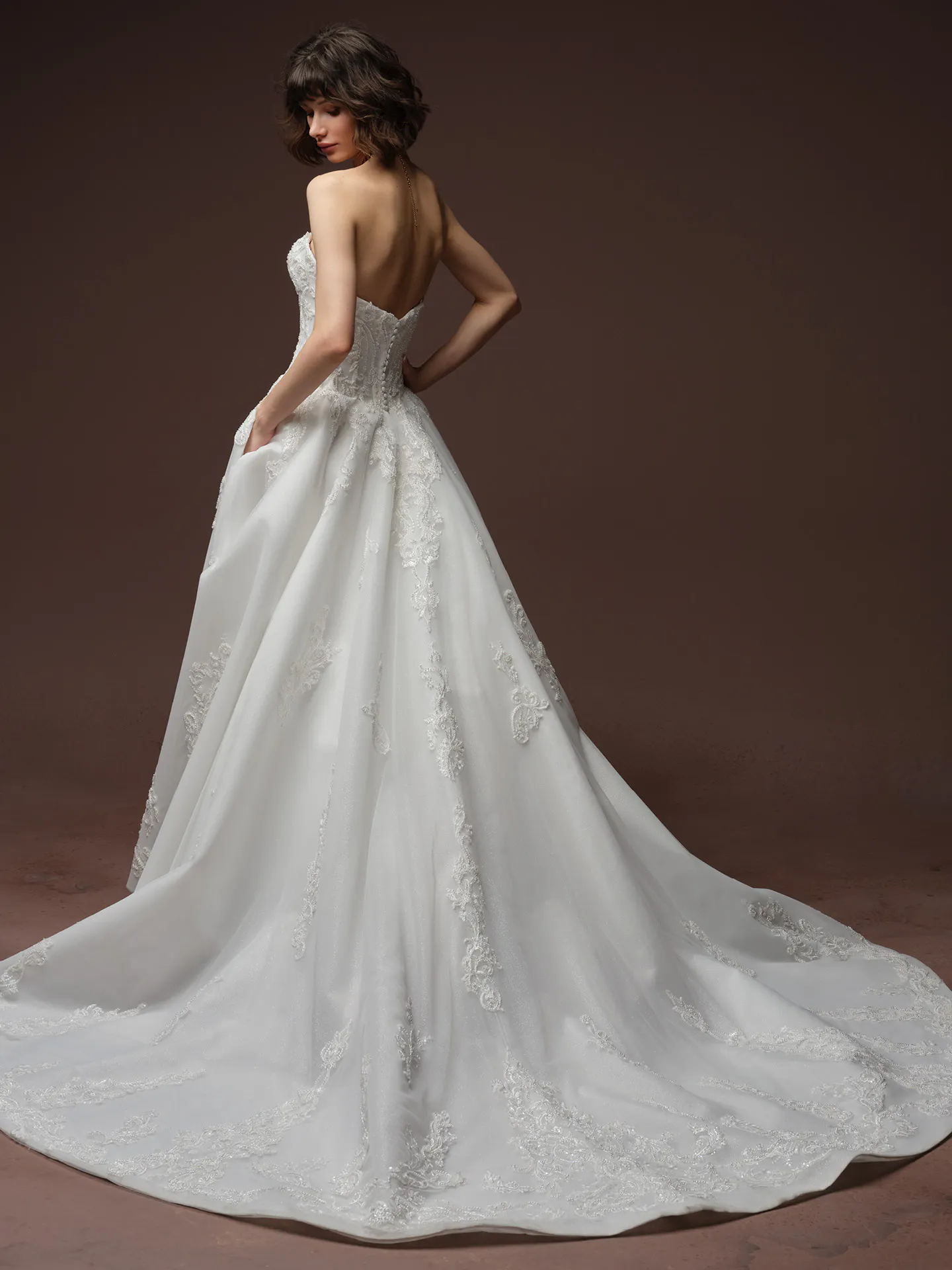 Sottero and Midgley Gwyneth, back view glitter tulle ballgown wedding dress.