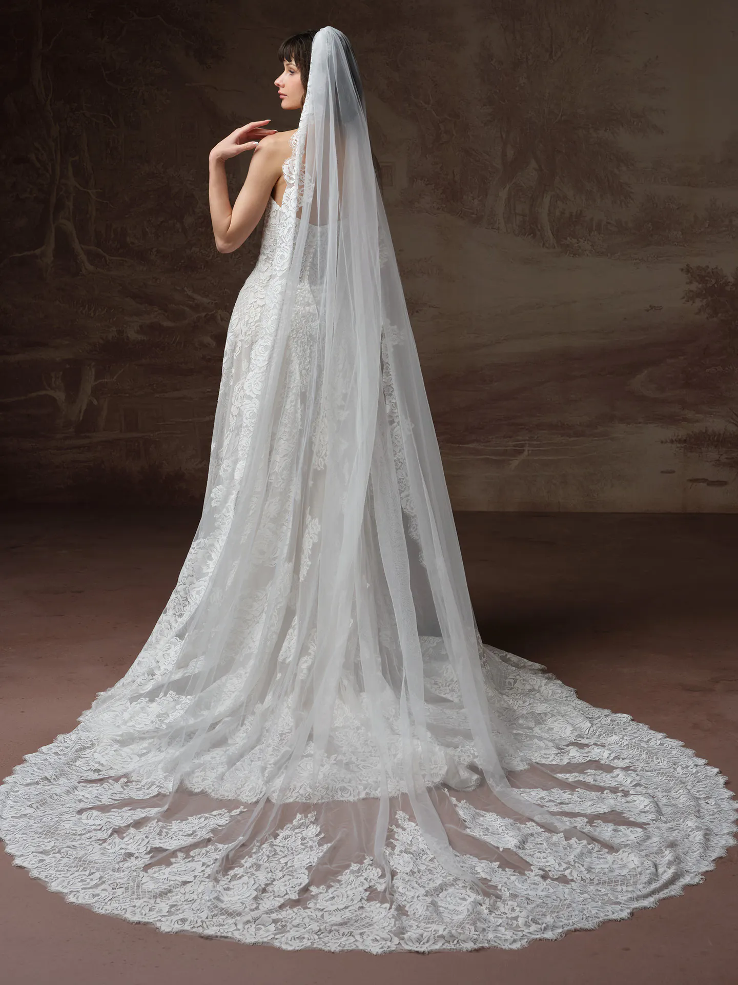 Sottero and Midgley Keeva, back view lace A-line dress with long train and veil.