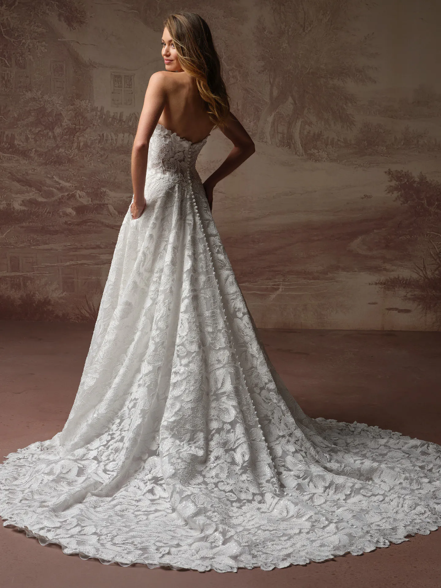 Sottero and Midgley Merrigan beaded lace A-line wedding dress, back view.
