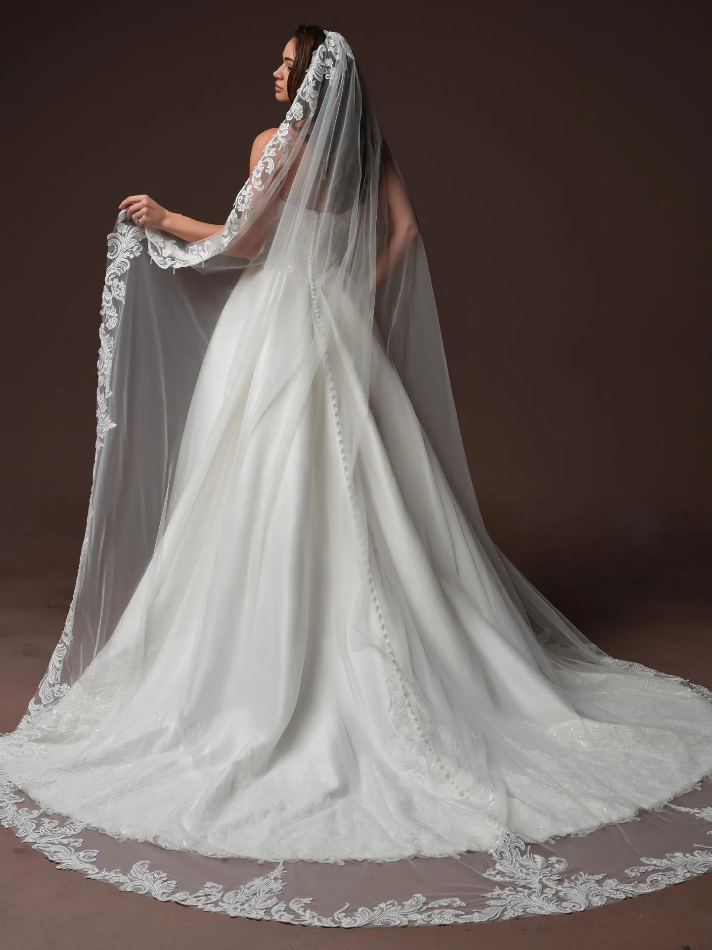 Sottero and Midgley Sandrine, back view lace basque waist wedding dress and veil.