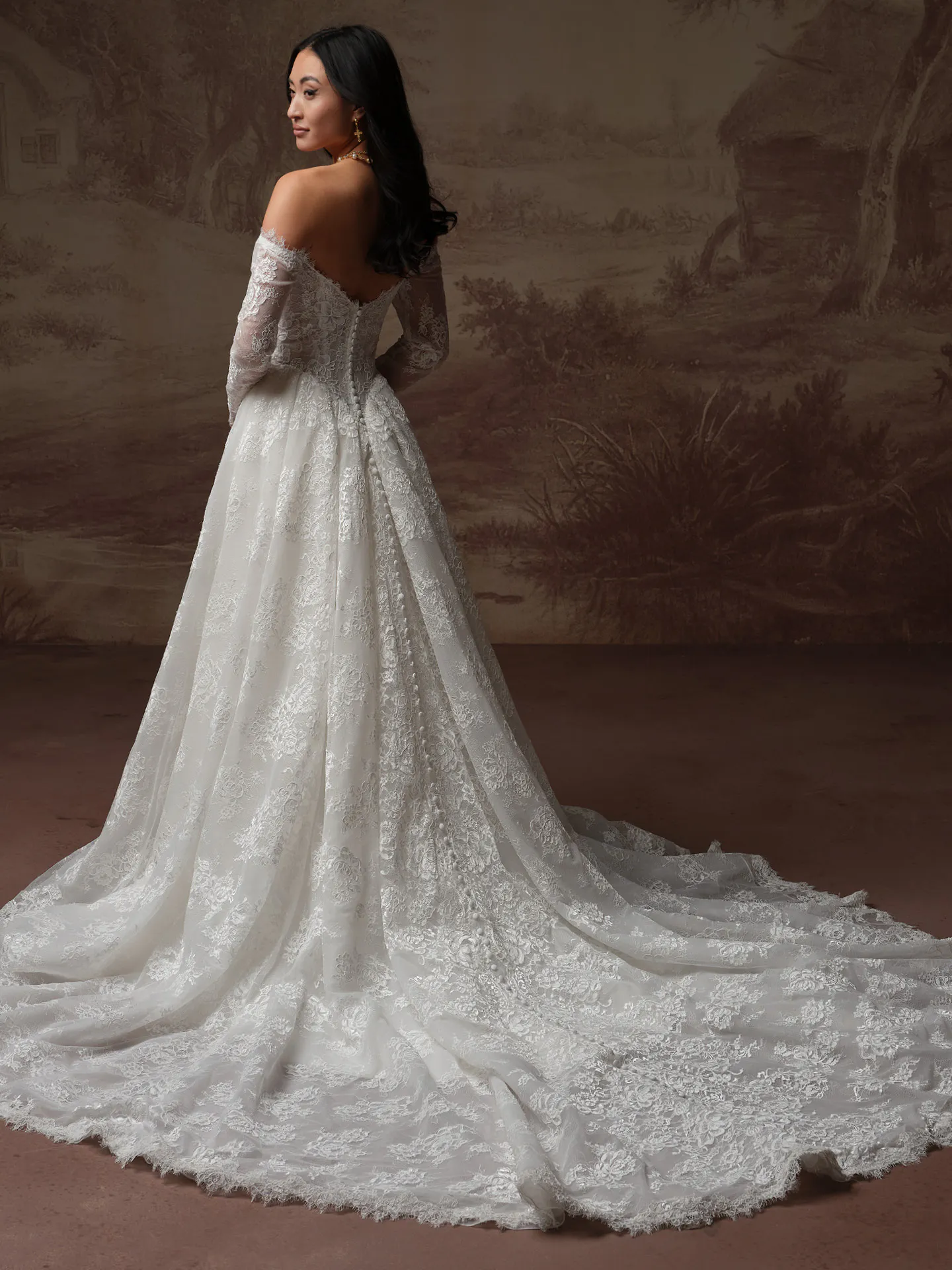 Sottero and Midgley sottero and midgley vespera lace a line, back view.