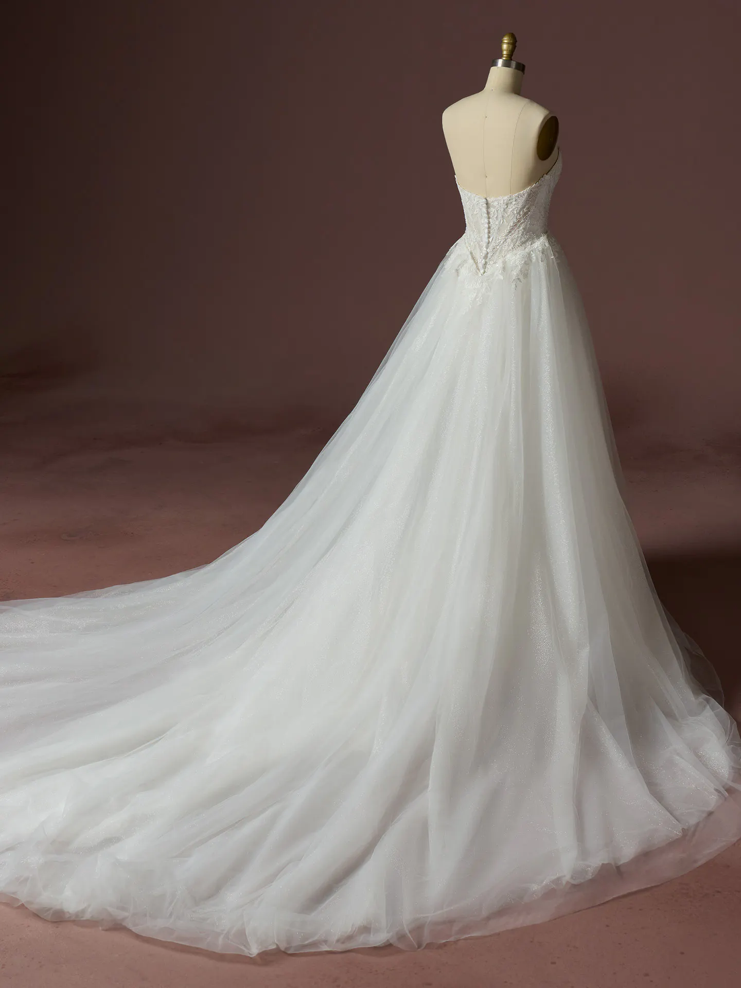 Sottero and Midgley Hester Train-Wedding-Dress Alt107 YYDTB+F6SK165000 IV002