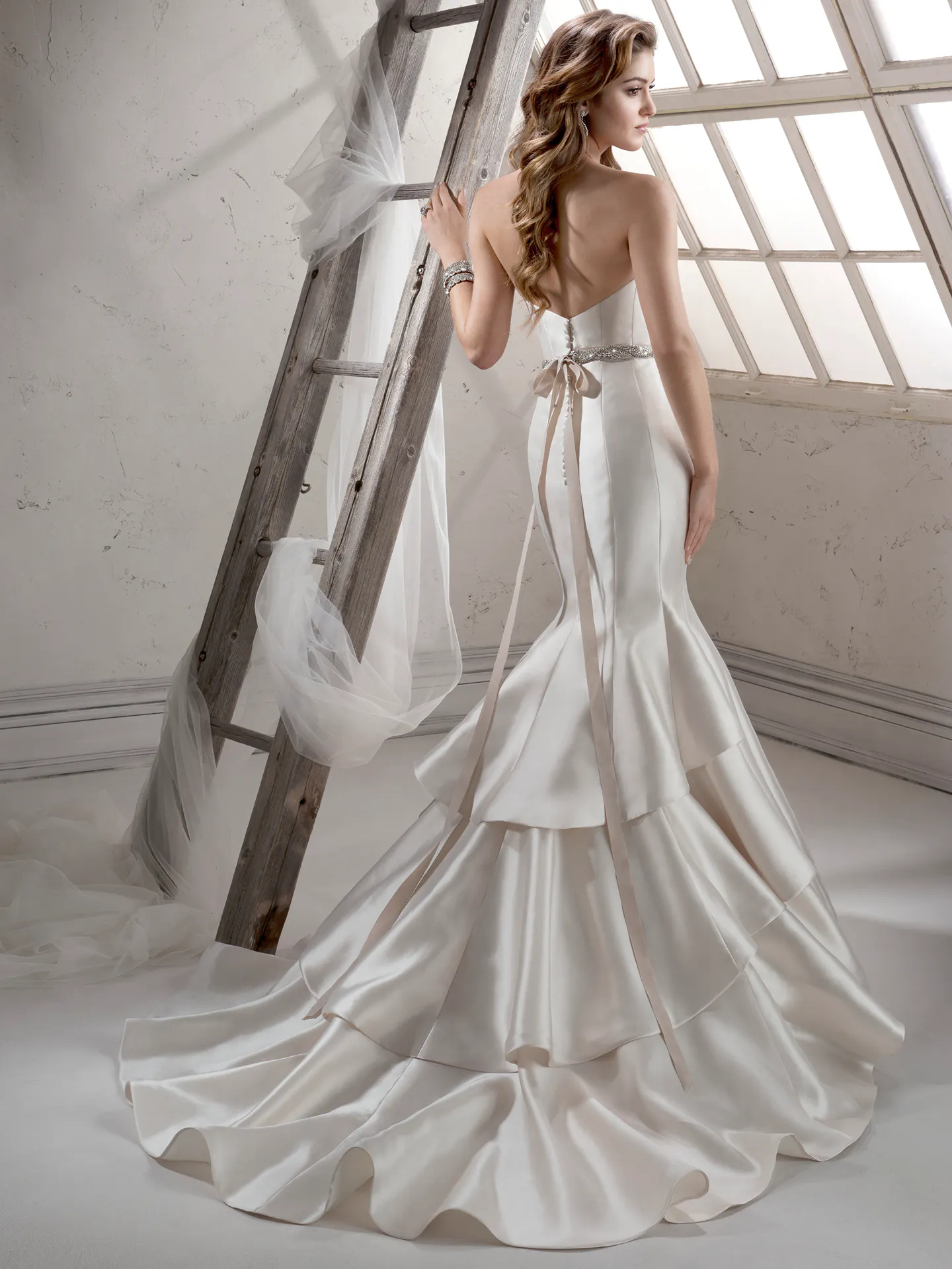 Sottero and Midgley Wedding Dress Vivien 4SS958 back
