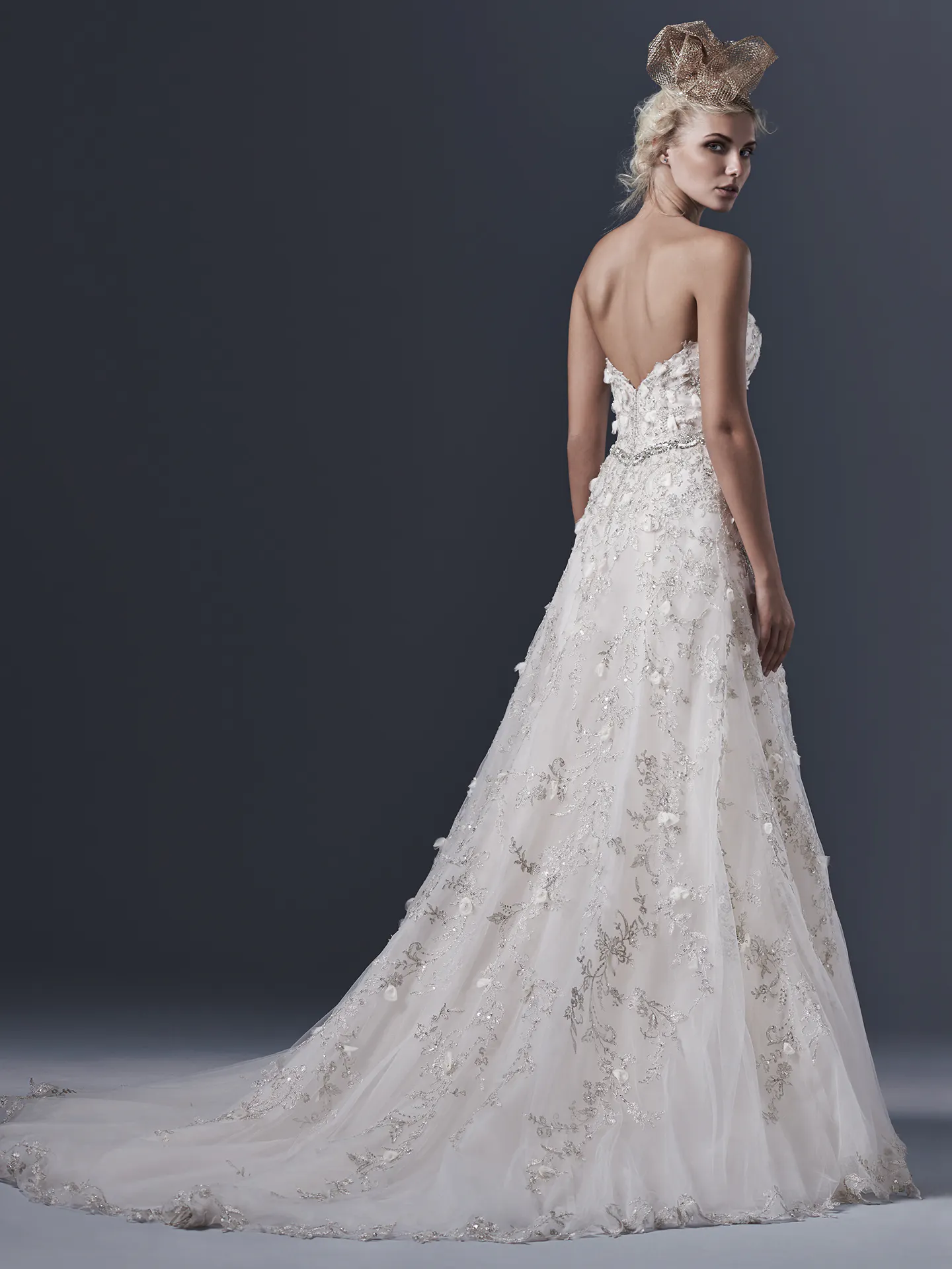 Sottero and Midgley Wedding Dress Elita 5SR606 back