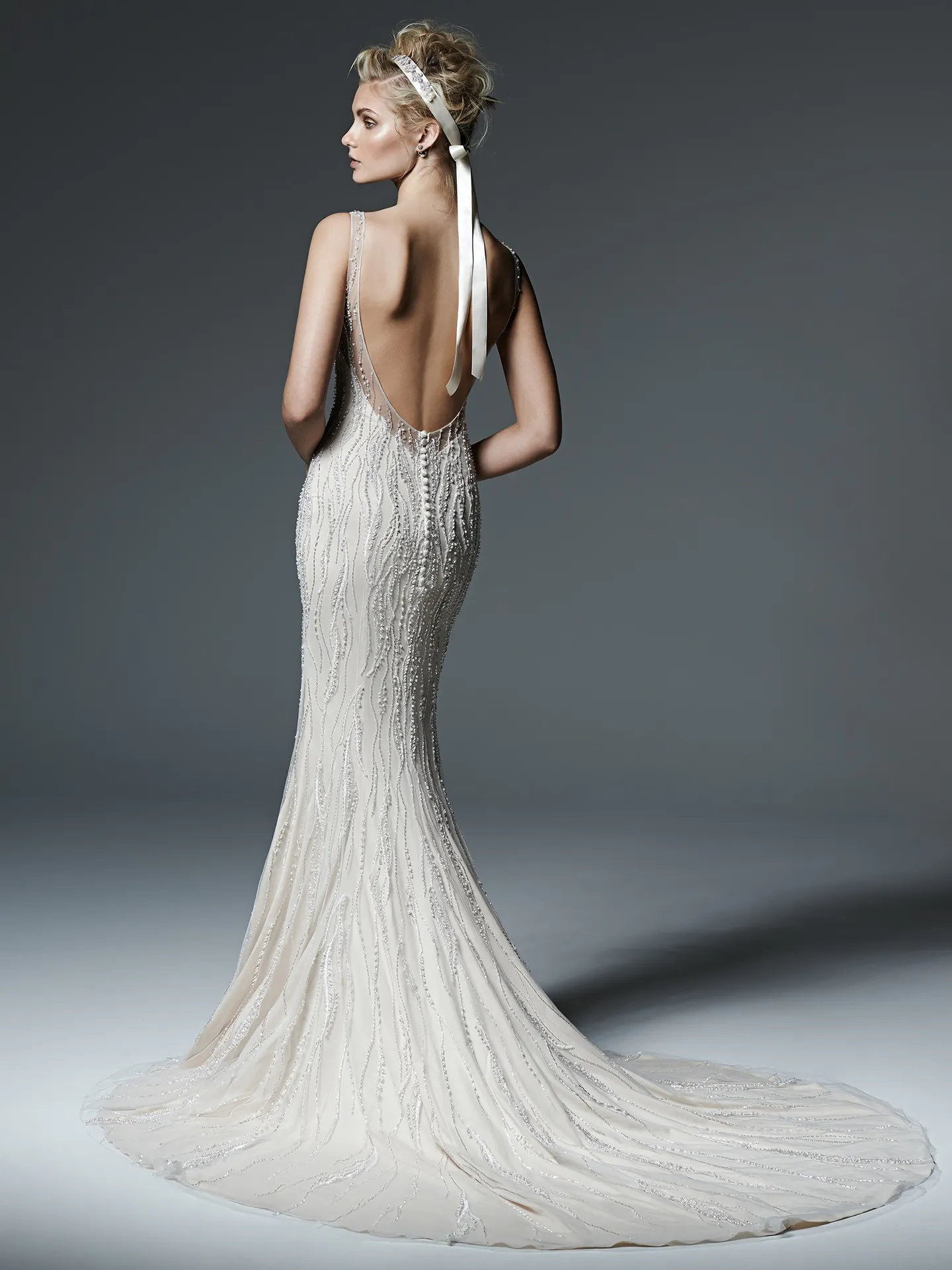 Sottero and Midgley Wedding Dress Florinda 6SG225 back