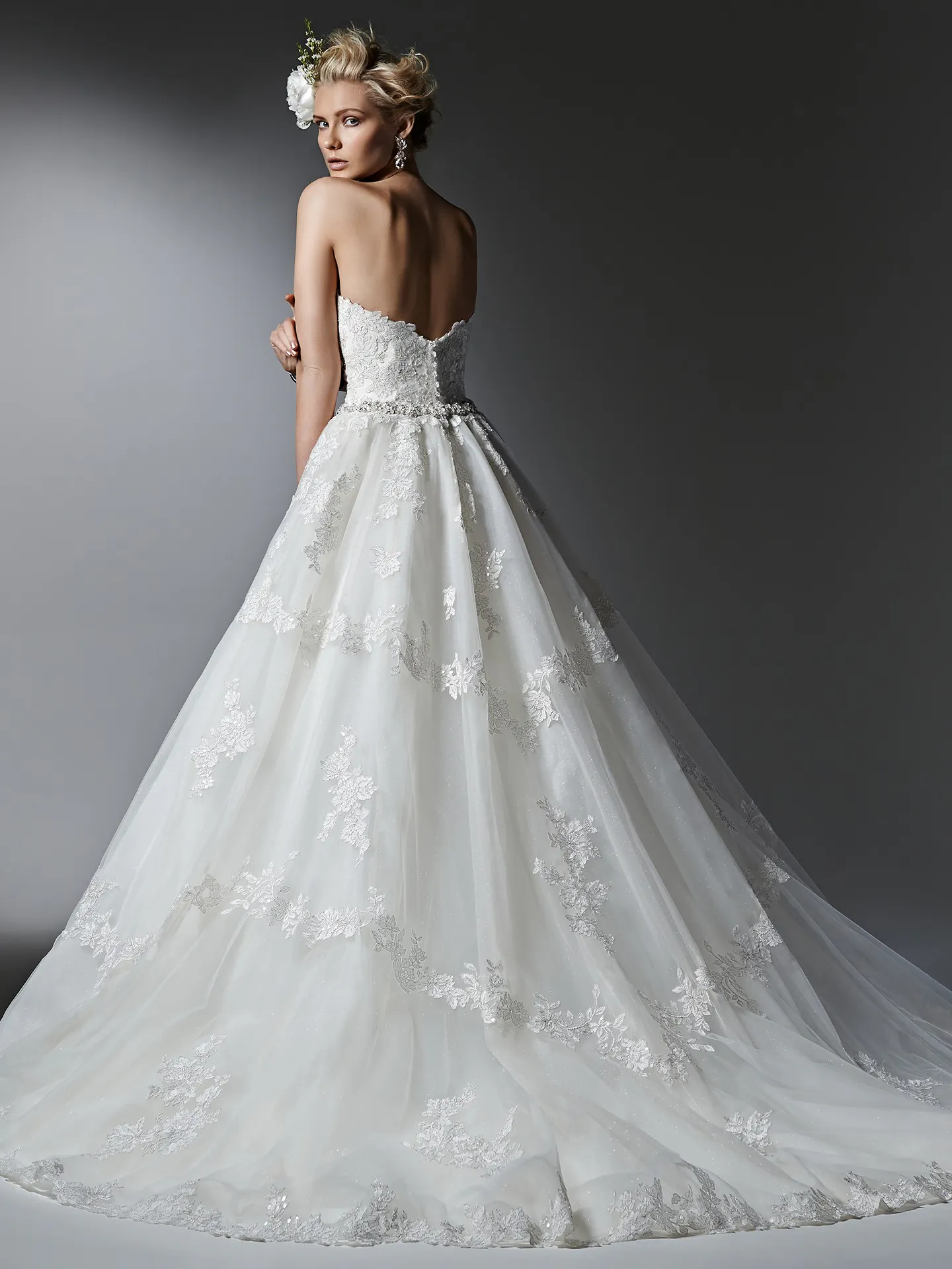 Sottero and Midgley Wedding Dress Alandra 6SR284 back