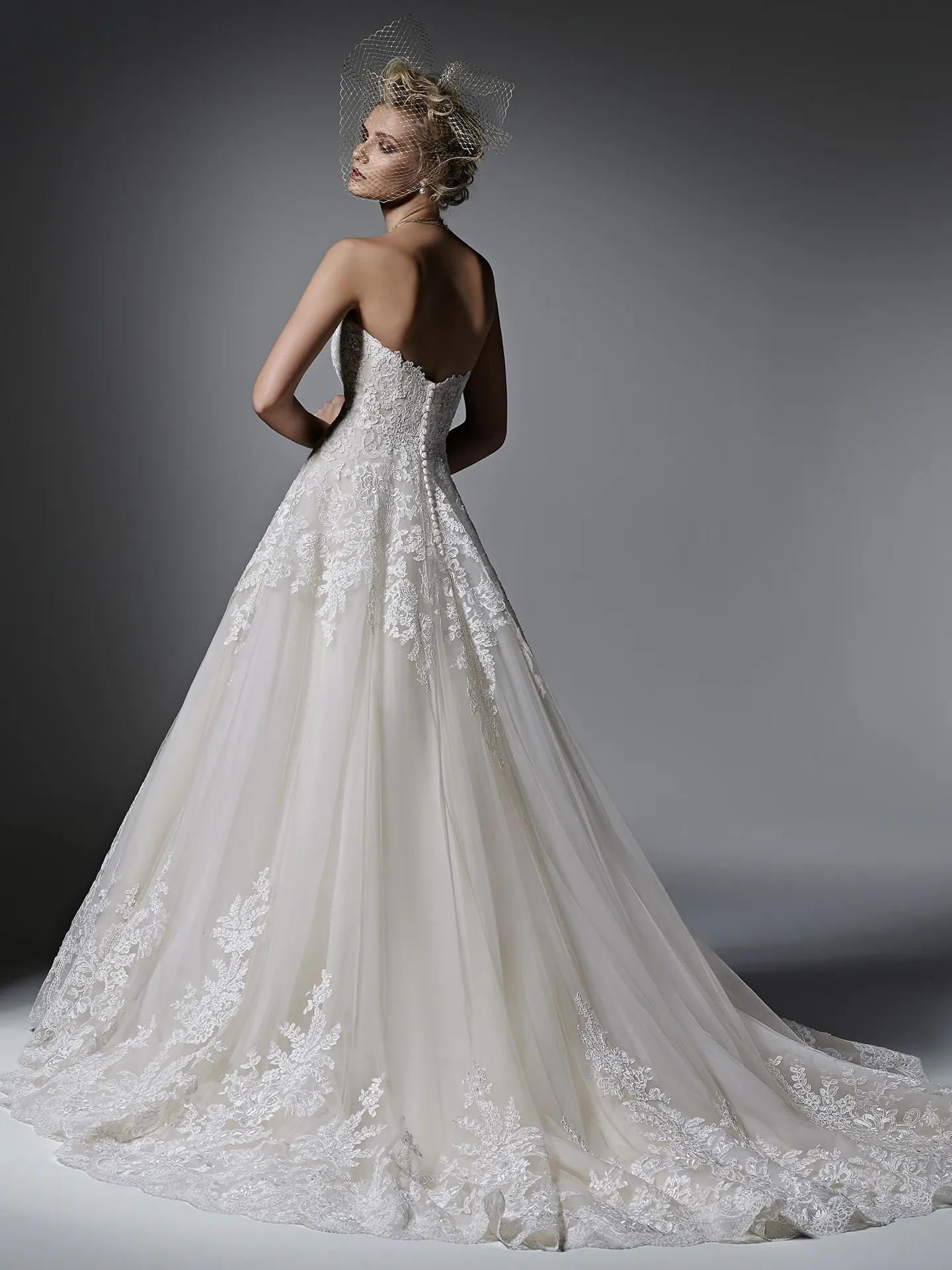 Sottero and Midgley Wedding Dress Zelinda 6SS203 back