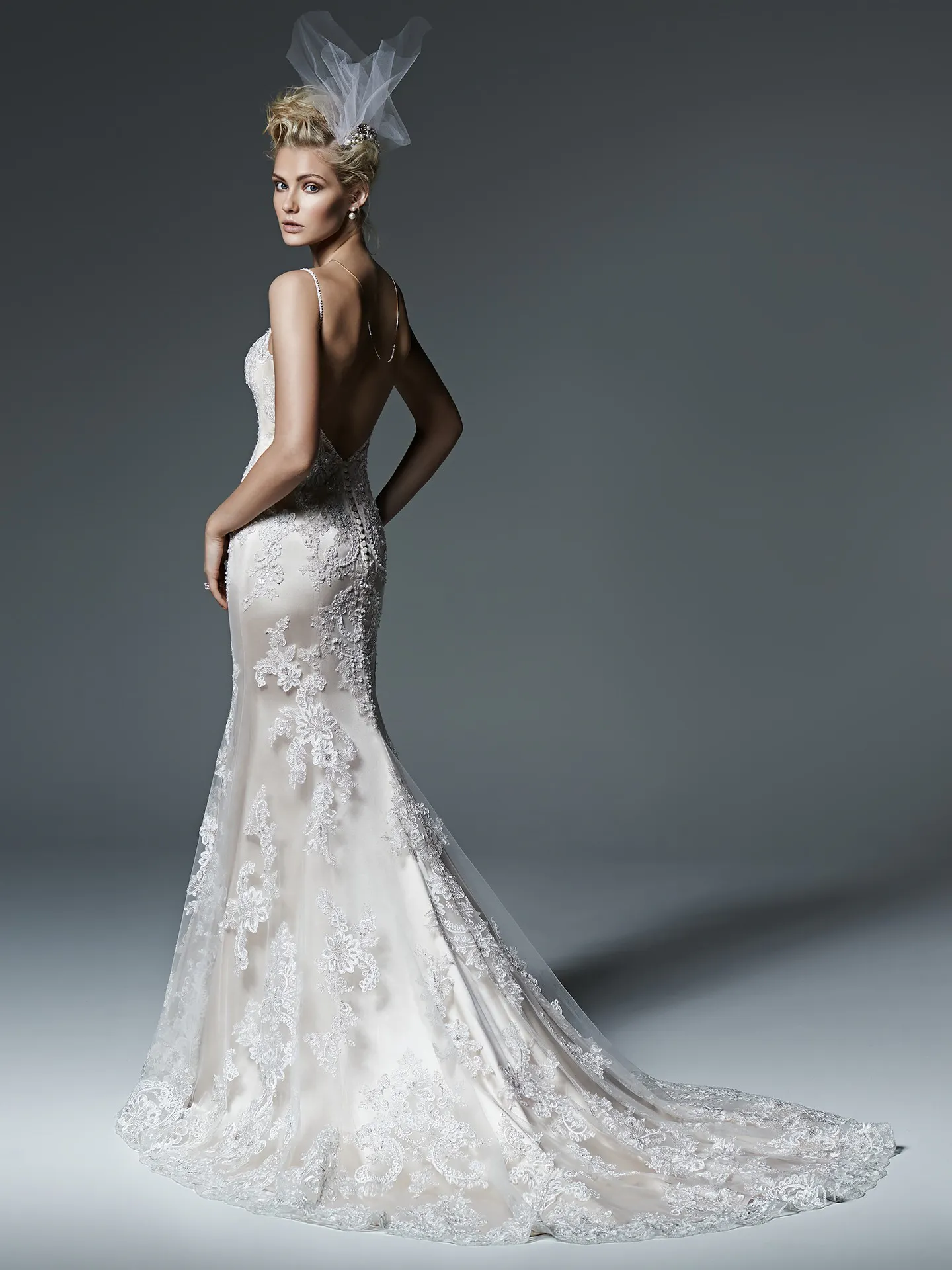 Sottero and Midgley Wedding Dress Celine 6SW175 back