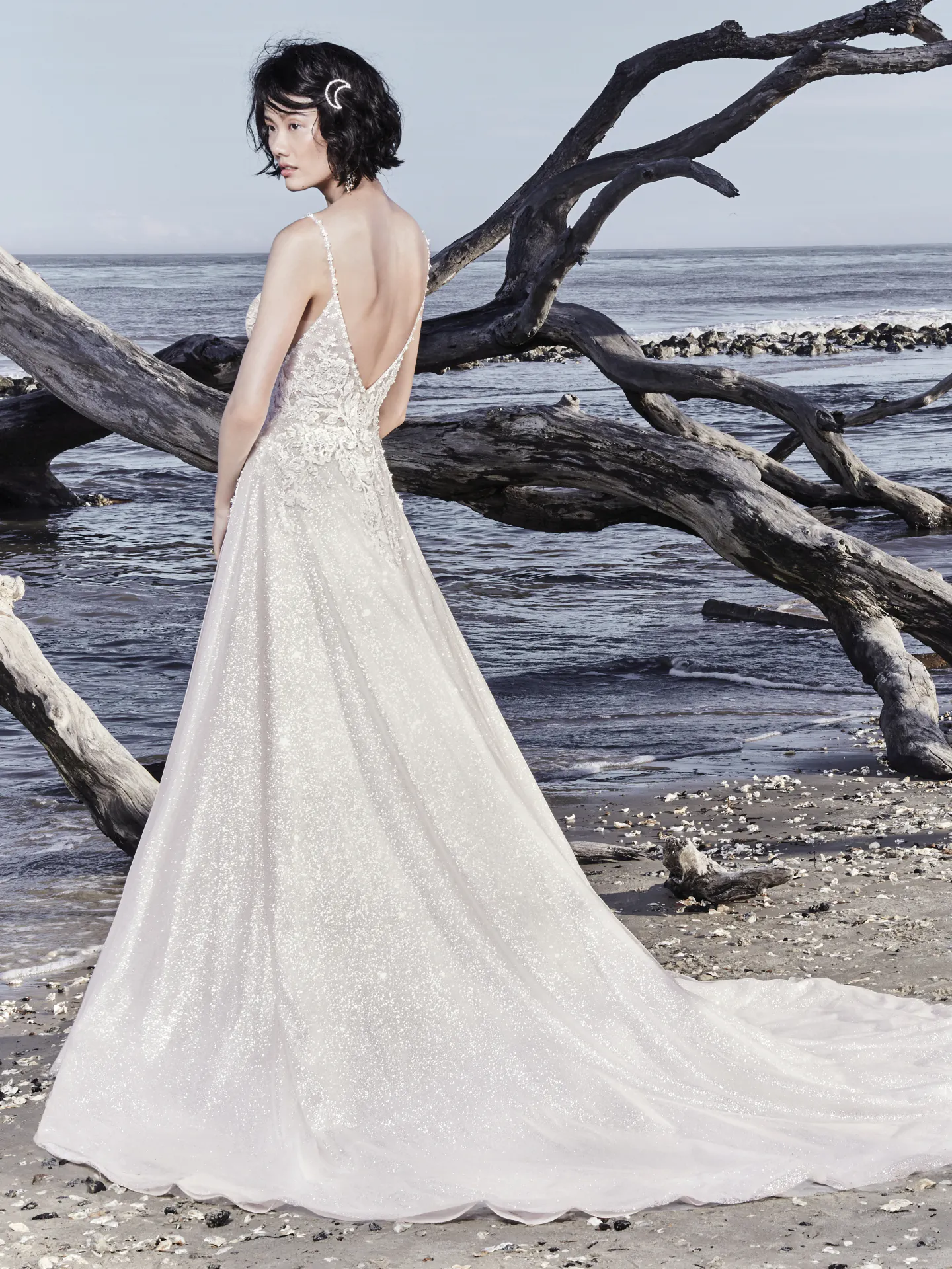 Chad  Princess Wedding Dress by Sottero and Midgley