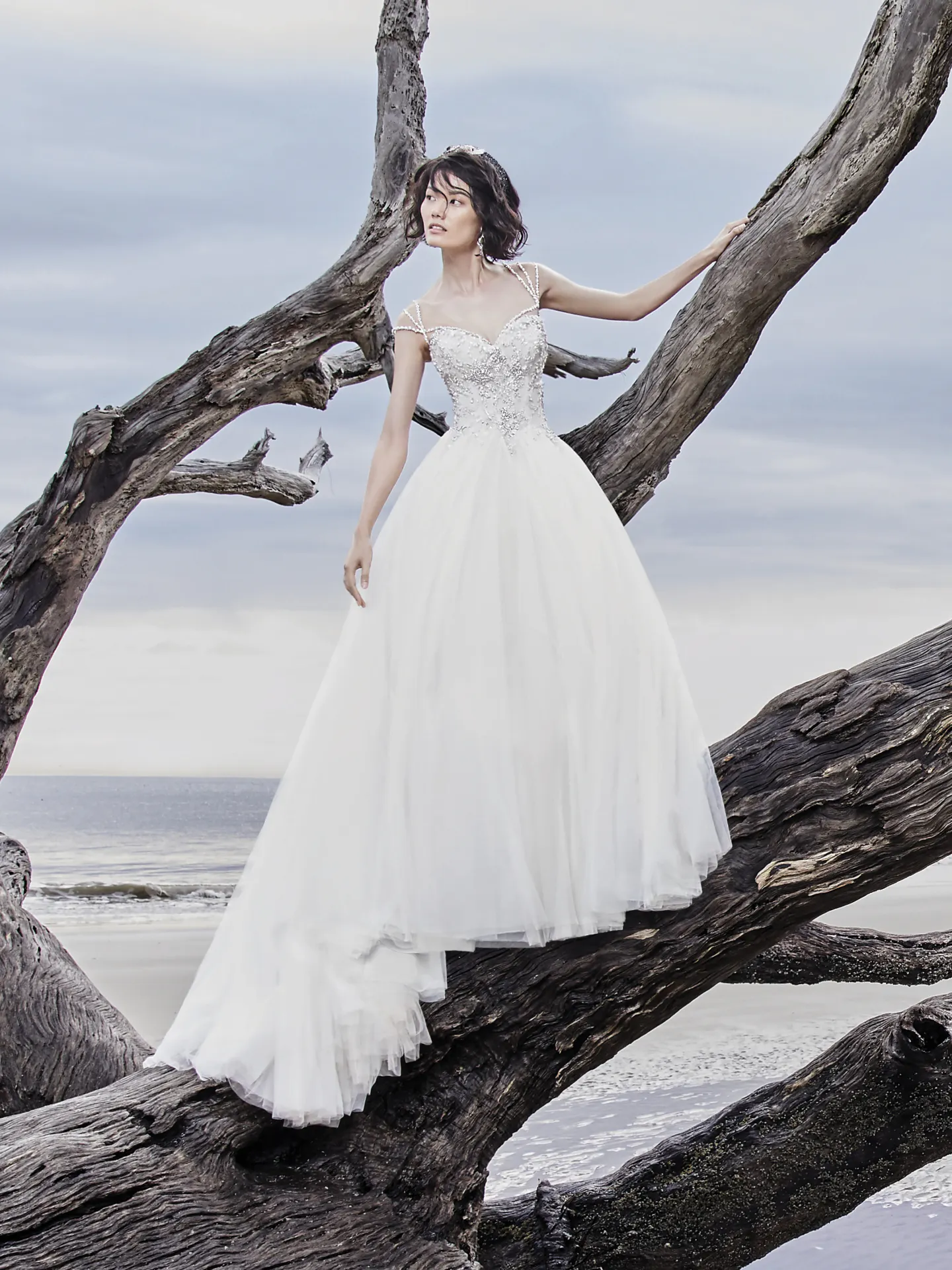 Dusty  Ballgown Wedding Dress by Sottero and Midgley